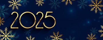 С Новым Годом - 2025!